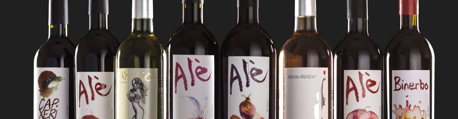 Botellas de vino de Can Feliu