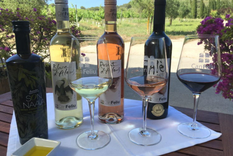 Mehrere Flaschen Wein und Gläser auf einem Tisch auf einer Terrasse mit Aussicht