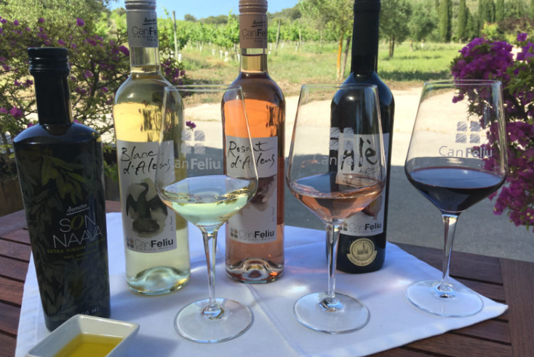 Several bottles of wine and glasses on a table on a terrace with a view