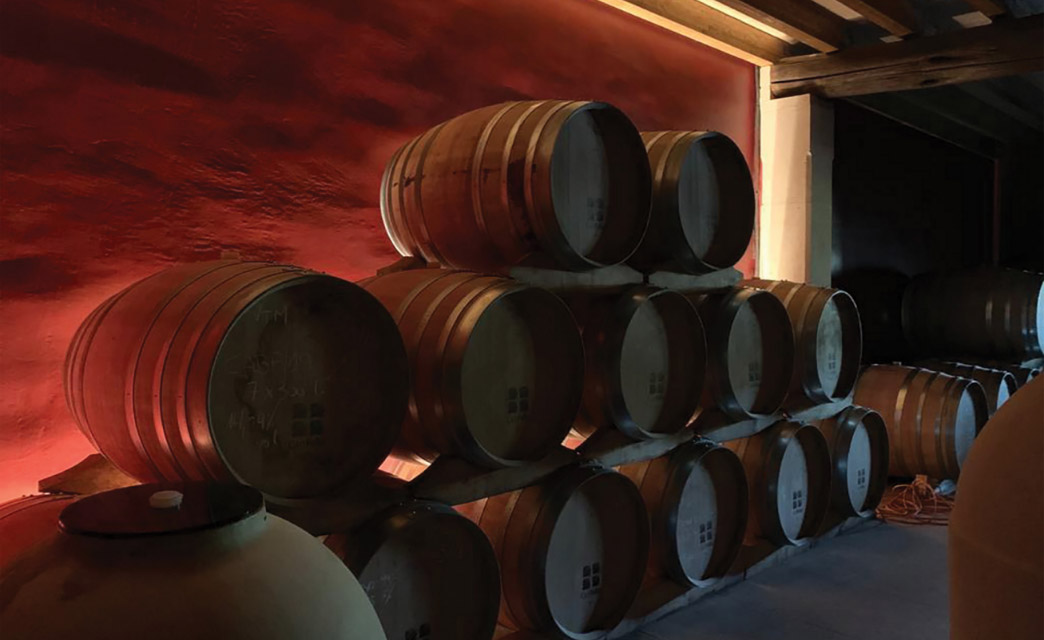 Barricas de Vino en Bodega Can Feliu