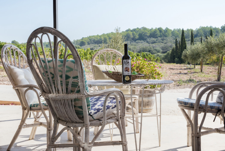 Terrasse mit Tisch, Stühlen, Flasche Wein und Aussicht