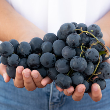 Person with a bunch of grapes in his hands