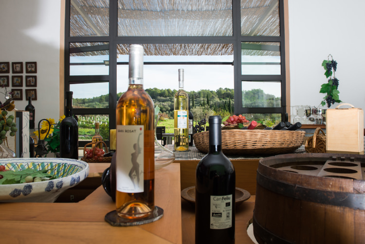 Bottles of wine and decoration in a room of Can Feliu