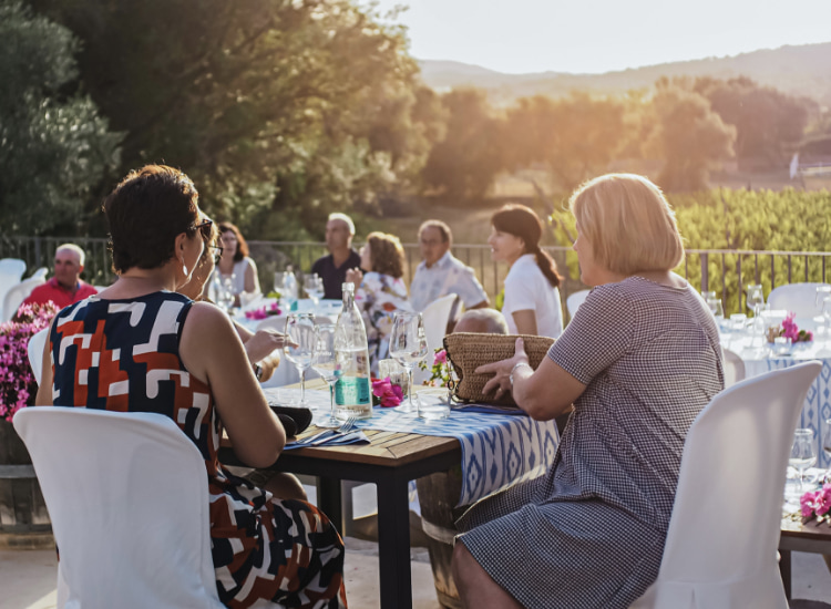 Kunden beim Mittagessen im Freien zwischen Weinbergen