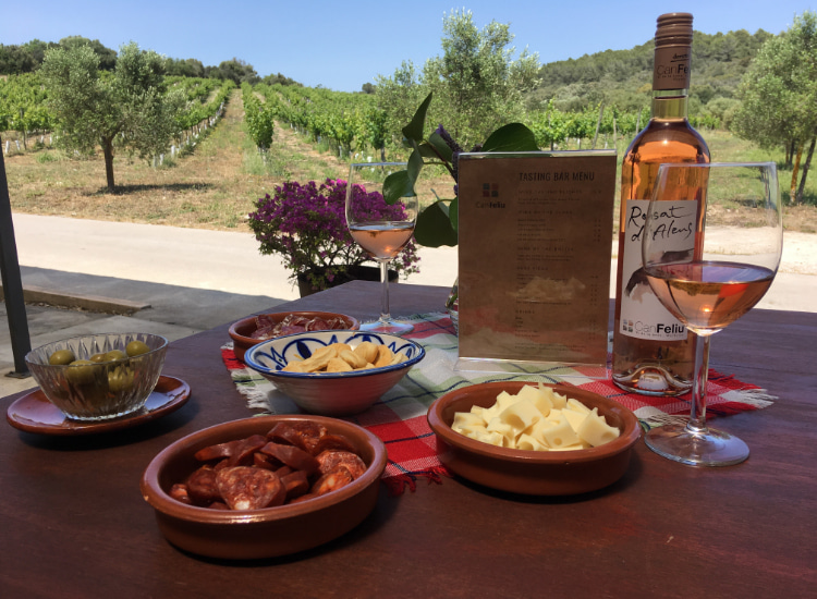 Snacks und Wein serviert auf der Terrasse des Verkostungsbereichs Can Feliu