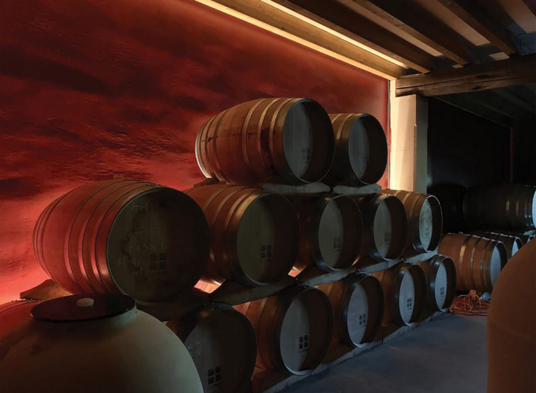 Wine barrels stored in Bodega Can Feliu
