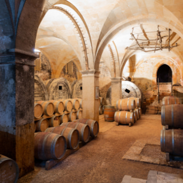 Bodega almacenando barriles de vino