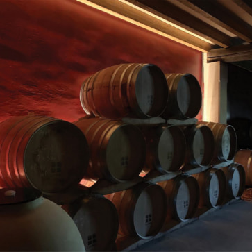 Winery in Can Feliu