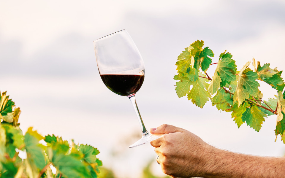 Hand, die ein Glas Wein hält