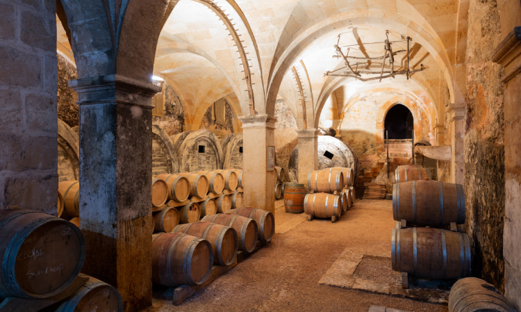 Bodega almacenando barriles de vino